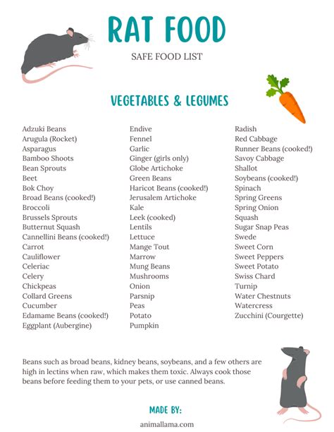 Safe Rat Food List Veggies Fruits Nuts Seeds Herbs Protein And More