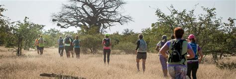 Safari On The Run Mapungubwe Wildrun Sadc Tfca Portal