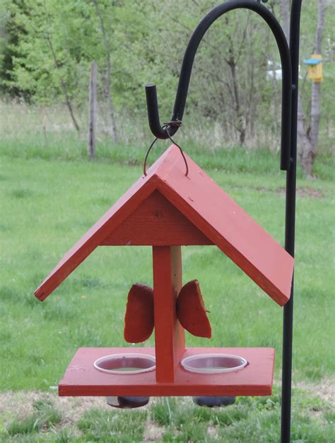 Check spelling or type a new query. This is an oriole feeder that I made. I put mealworms, grape jelly, nuts, raisins in the cups ...