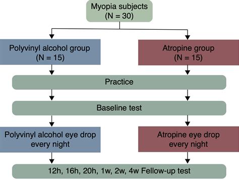 Mechanism Of Action Of Atropine In Controlling Myopia 41 Off