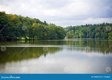 Forest Reflection Stock Image Image Of Tree Edge Forest 10055775