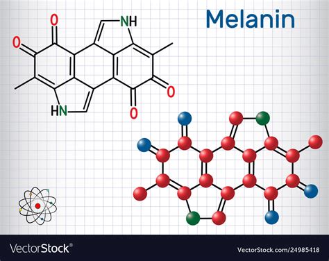 Melanin Molecule Molecule Model Royalty Free Vector Image