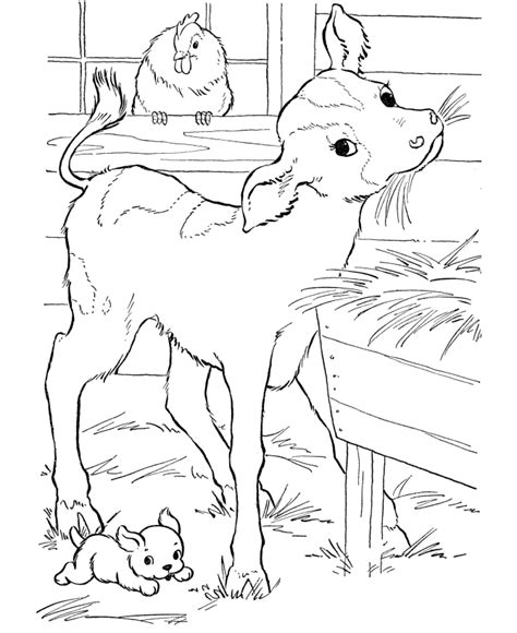 Free Coloring Pages For Kids Coloring Cow Animal