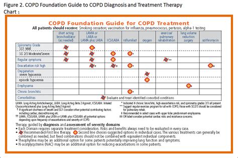 Copd Foundation Guide Journal Of The Copd Foundation