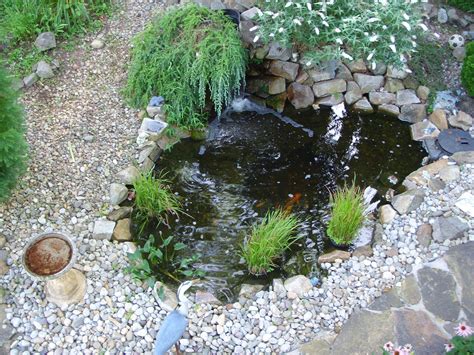 Images & pictures of pond from above wallpaper download 4 photos. Pin on My Gardens
