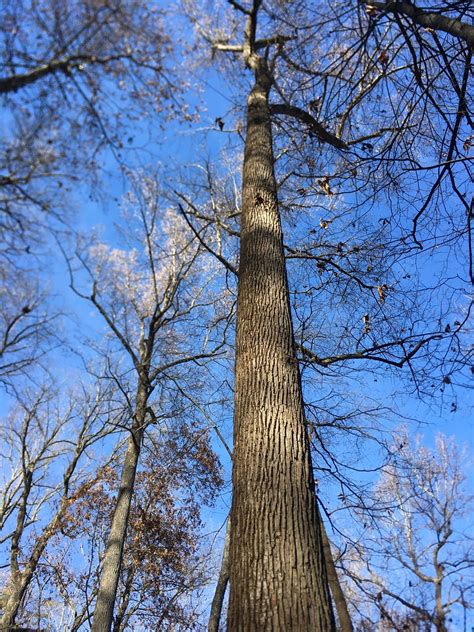 Rrg Double Arch Trail Flickr