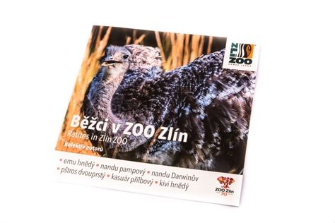 „v letošním roce chceme navázat na úspěšný projekt etiopie i a rozběhnout výstavbu druhé etapy etiopie. ZOO Zlín - eshop