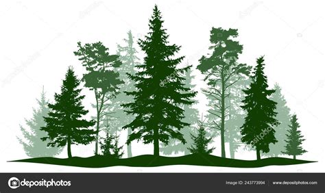 Pine Tree Forest Telegraph