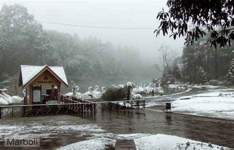 Al menos 13 ciudades del estado brasileño de rio grande do sul quedaron este miércoles envueltas en nieve por una ola de aire polar que atraviesa el sur del país, según informan medios locales. Marboli Trips: Neve em Canela e Gramado Serra Gaúcha Brasil