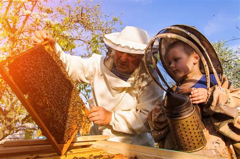 Beekeeping Terminology What Is Beekeeping Called Complete Beehives