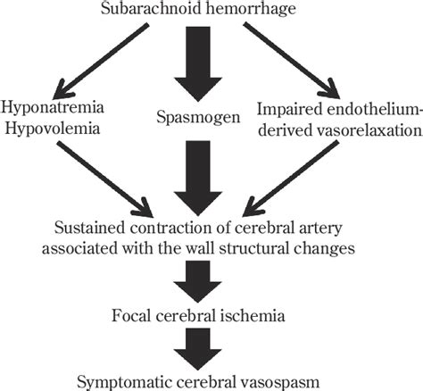 Figure 1 From Current Concepts Of Delayed Cerebral Ischemia After