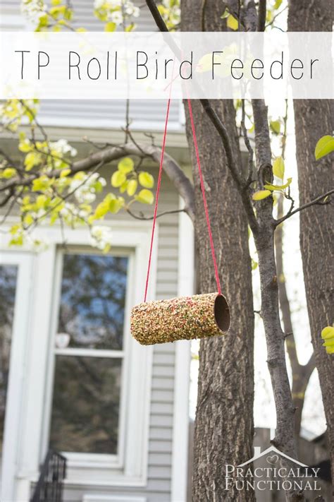 Turn A Toilet Paper Roll Into A Bird Feeder