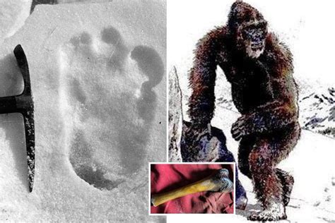 Yeti Mystery Finally Solved After Dna Probe Into The Mythical Beasts