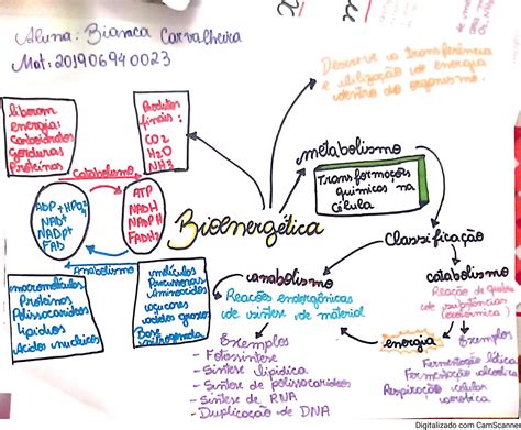 Arriba 33 Imagen Bioenergetica Mapa Mental Abzlocalmx