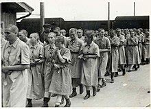 ‹ › luggage taken from prisoners at auschwitz. Auschwitz concentration camp - Wikipedia