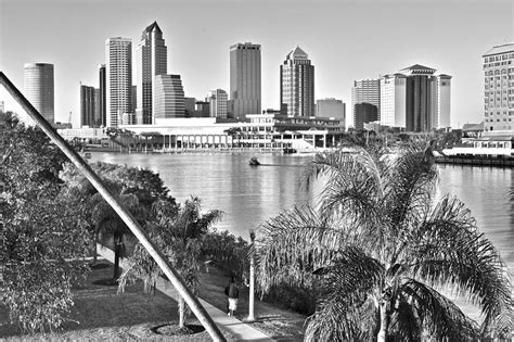 Tampa Bay Black And White Photograph By Frozen In Time