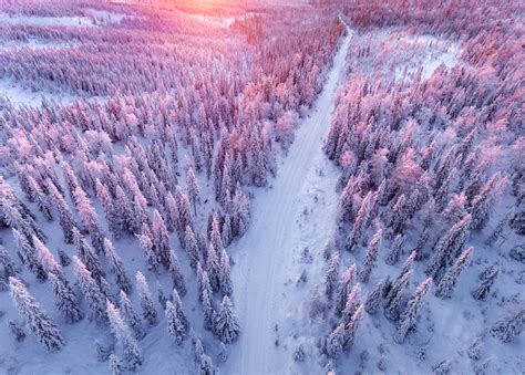 Gorgeous Aerial Pictures Of A Snowy Forest In Finland Fubiz Media