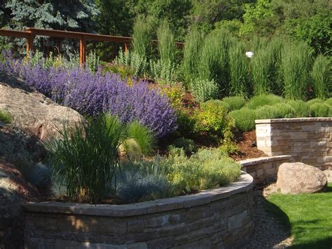Loading how to xeriscape a yard with no grass : Professional Xeriscaping Tips - Landscaping Network