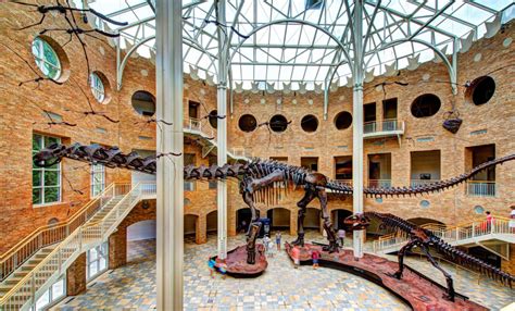 Fernbank Museum Of Natural History In Atlanta Get Insider Tips
