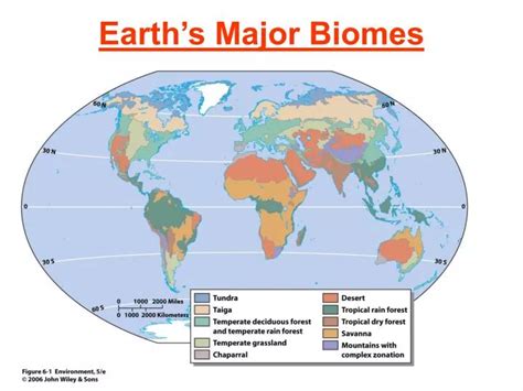 Ppt Earths Major Biomes Powerpoint Presentation Free Download Id
