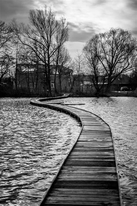 Free Stock Photo Of Black And White Bridge Dawn Fall Lake