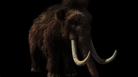 Bioscience Firm Plans To Resurrect Woolly Mammoths In Next 5 Years
