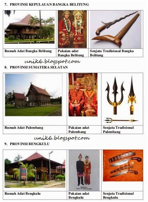 Pakaian Rumah Dan Senjata Tradisional Provinisi Indonesia