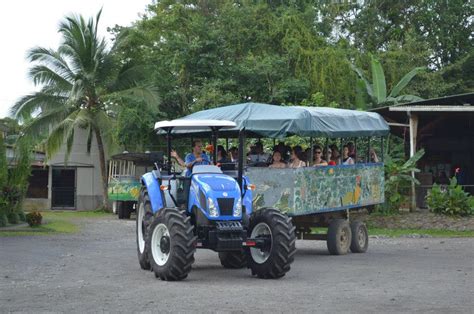 Arenal volcano costa rica zipline. Arenal Zip Line Canopy Tour | Best Zip Line | La Fortuna ...