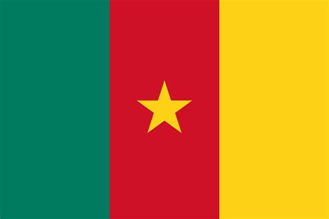 Le Cameroun Accélère Lenregistrement Des Assurés Grâce à La