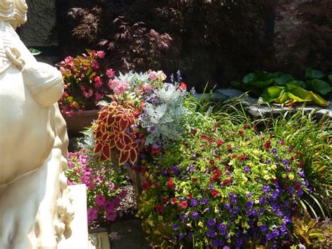 No.1 chinese restaurant now offers delivery service when you order online! China Cottage, Dayton - Restaurant Reviews, Phone Number ...