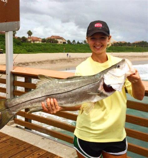 39 Inch Snook Common Fish Mounts Official Site