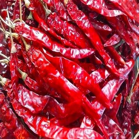 Guntur Dry Red Chillies 25 Kg At Rs 15000ton In Vijayawada Id