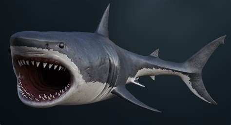 3d Realistic Great White Shark Model Turbosquid 1215328