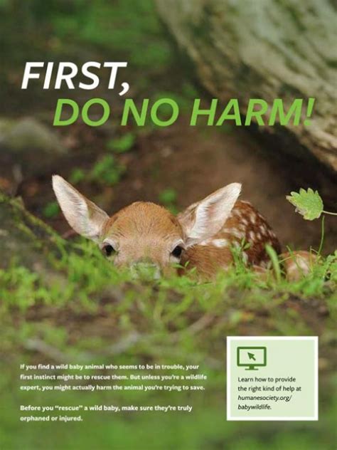 First Do No Harm Humanepro By The Humane Society Of The United States