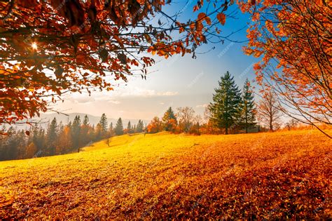Premium Photo Colorful Autumn Landscape