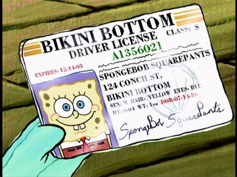Spongebob's Drivers License | Spongebob, Spongebob birthday, Spongebob
