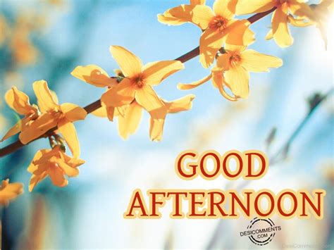 Good Afternoon Pictures Images Graphics Page 20