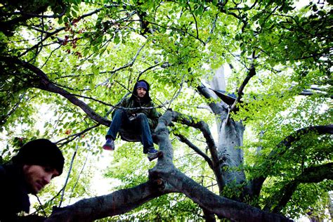 Codziennie dodajemy tysiące nowych, wysokiej jakości obrazów. In Central Park, Finding a Bed Among the Trees - The New ...