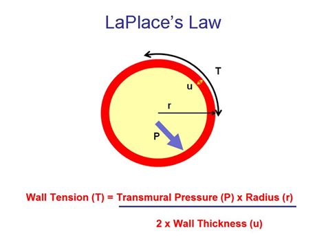 31 Ventricular Wall Tension And The Laplace Relationship Greekdoctor