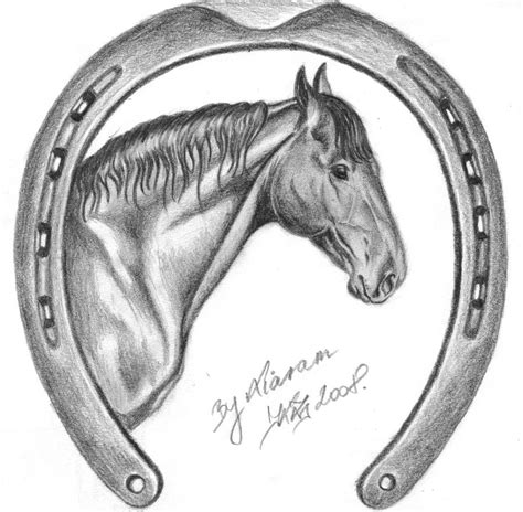 Steeplechase Horseshoe Art Horse Shoe Drawing Art