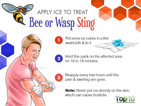 How To Treat A Bee Or Wasp Sting Top 10 Home Remedies