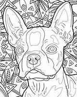 Coloring Dog Dogs Breed Adults Breeds Books Adult Colouring Sheets Cleverpedia Doodle Puppy Dover Getdrawings Flower Mandala Animal sketch template