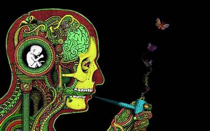 Stoner Chill Wallpapers Animal Abstract
