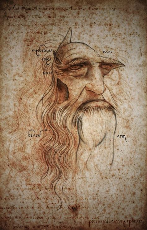 Survey Of The Anamorphic Image In Leonardo Da Vincis Portrait Of A