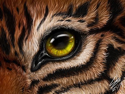 Tigers Eye By Victoria Sokolova On Dribbble