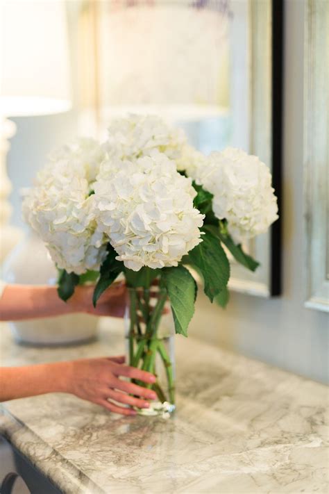 According to our bloom experts, floral stylists phil and melissa from bloombox co, if you want to keep flowers alive for longer you need to ensure you choose the. How to cut flowers and best cut flower food | bluegraygal