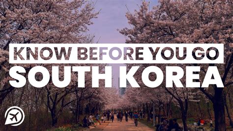 Things To Know Before Visiting South Korea Travelideas