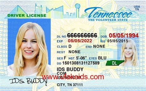 Tennessee Drivers License Pictures Drivers License Id Card