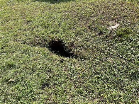 A 4ft Deep Hole Opened Up In My Backyard What Do I Do Rhomeowners