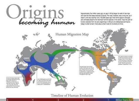 Interactive Timeline Of Human Evolution Rapidviz
